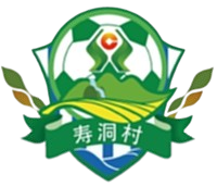 寿洞村